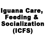 Iguana Care, Feeding & Socialization