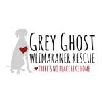 Grey Ghost Weimaraner Rescue